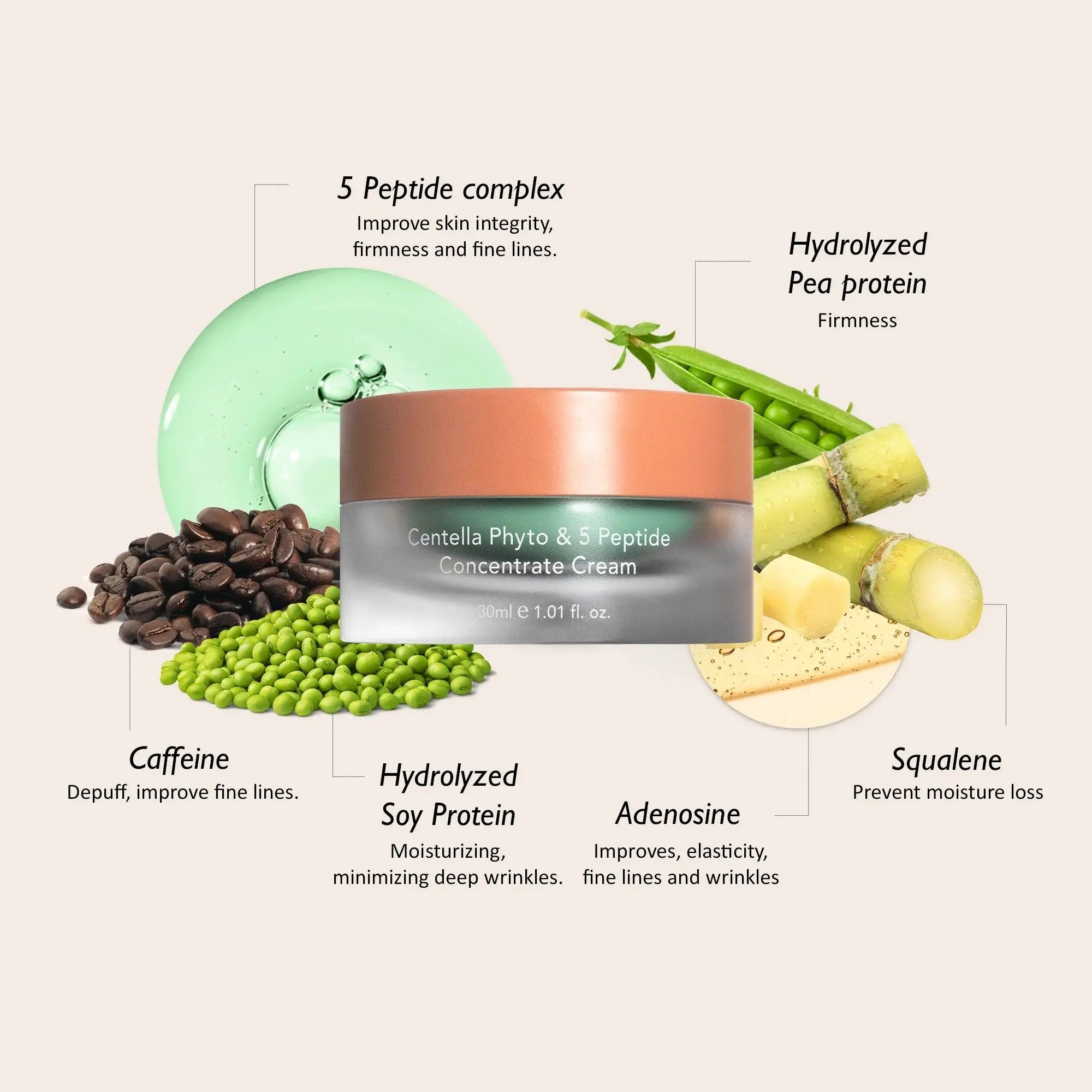 Haruharu Wonder - Centella Phyto & 5 Peptide Concentrate Cream - Korean Skincare - Nashwa