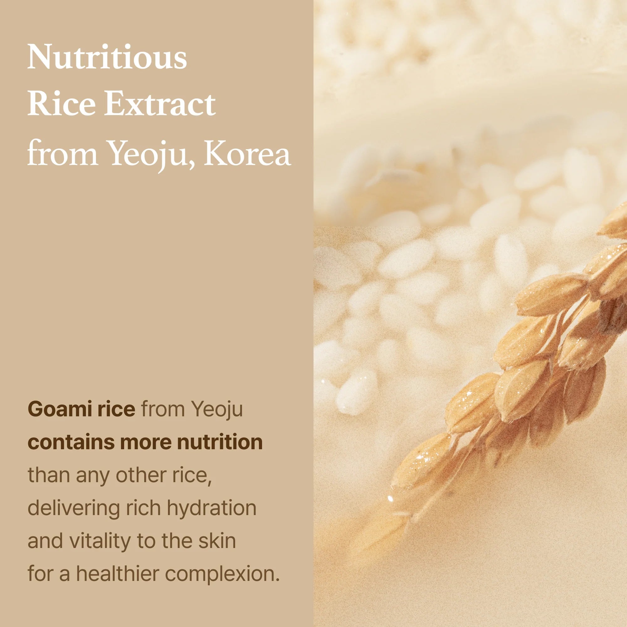 I'm from - Rice Toner - Korean skincare - nashwa