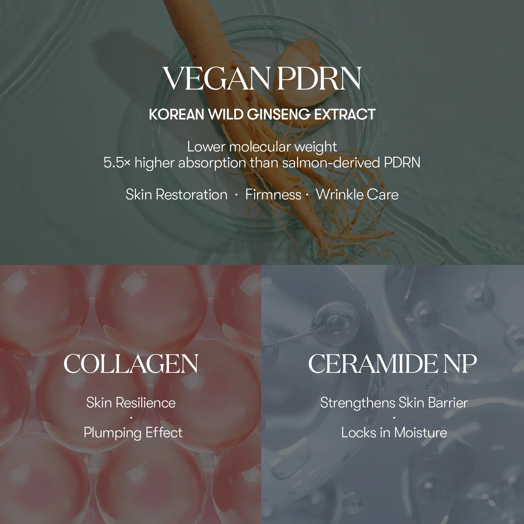 VT - PDRN Essence Stick Balm - Korean Skincare - Nashwa