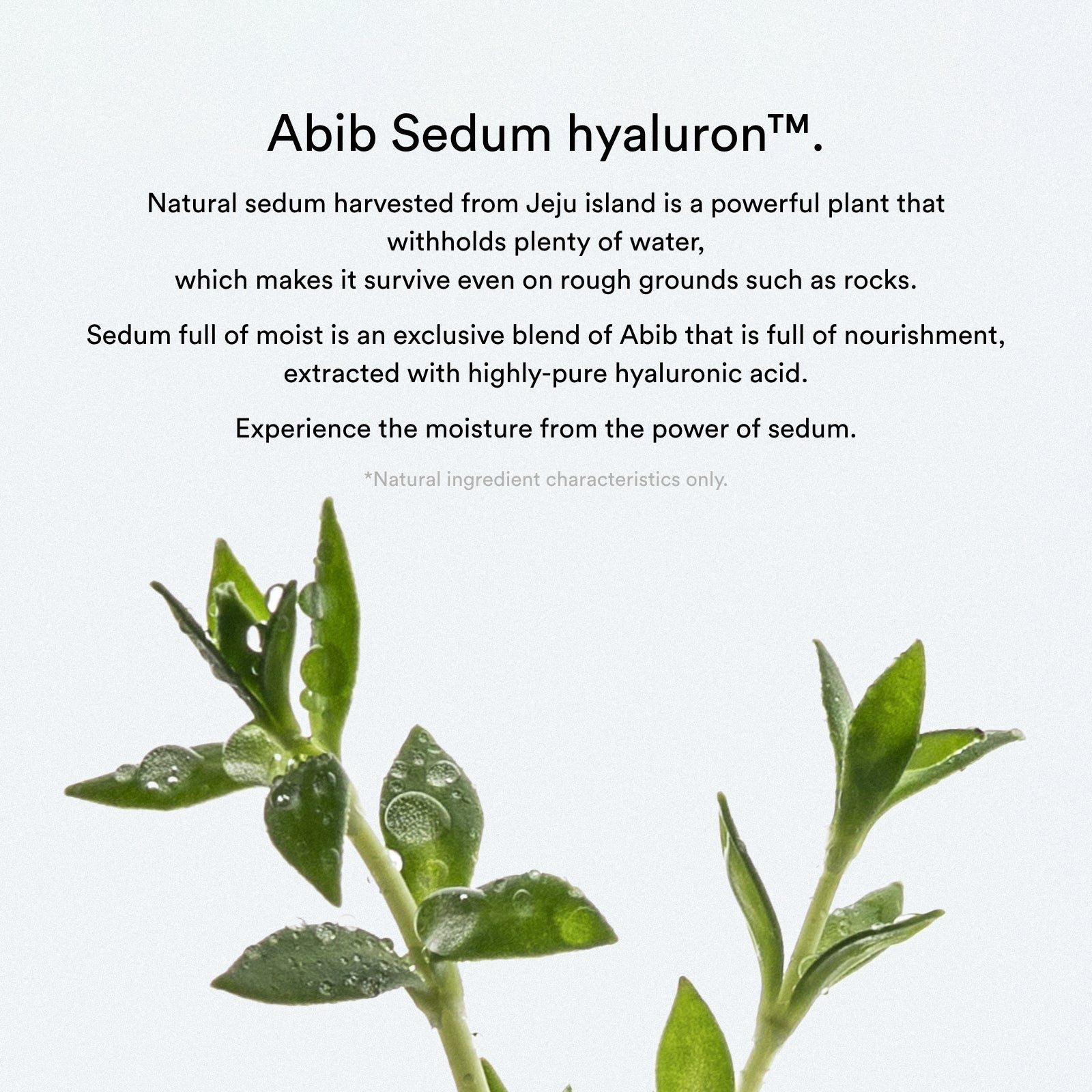 Abib - Collagen Gel Mask Sedum Jelly 35g - Korean Skincare - Nashwa